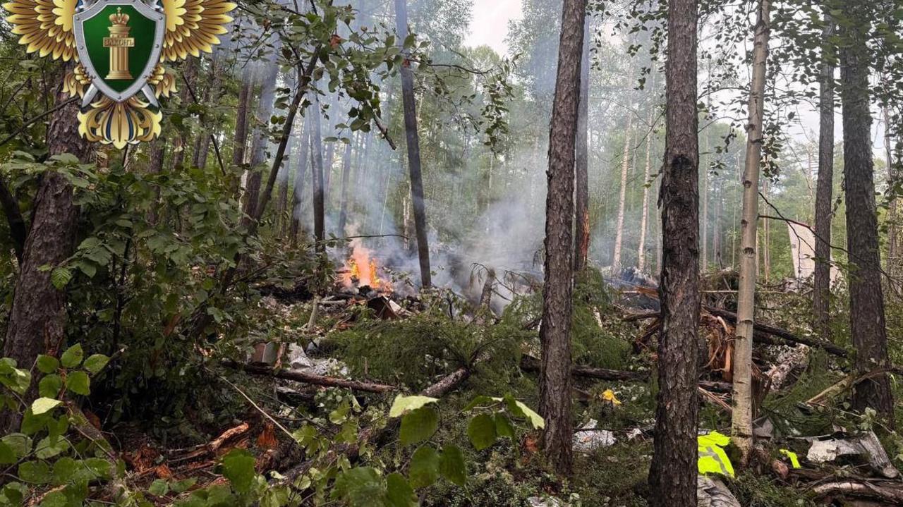 Wreckage of the plane burns in a forest