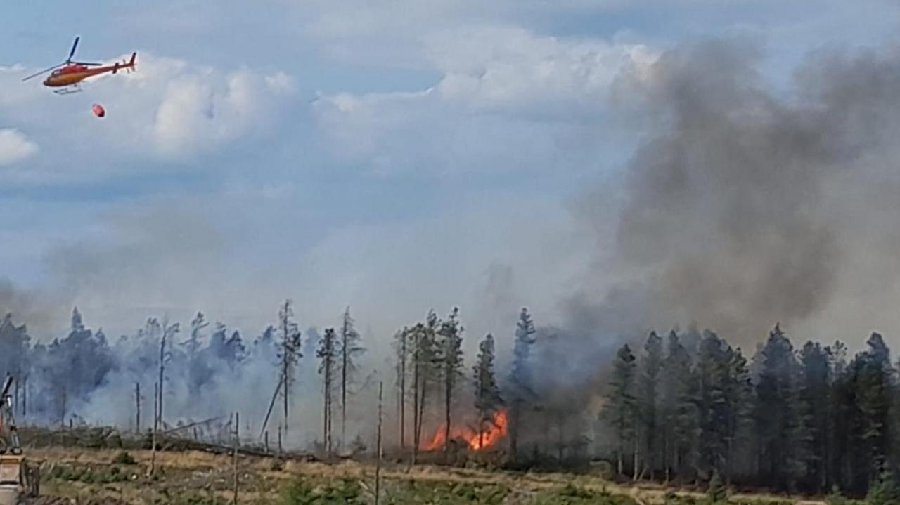 A helicopter flies above trees which have thick grey smoke billowing above them, with flames visible in the forest.