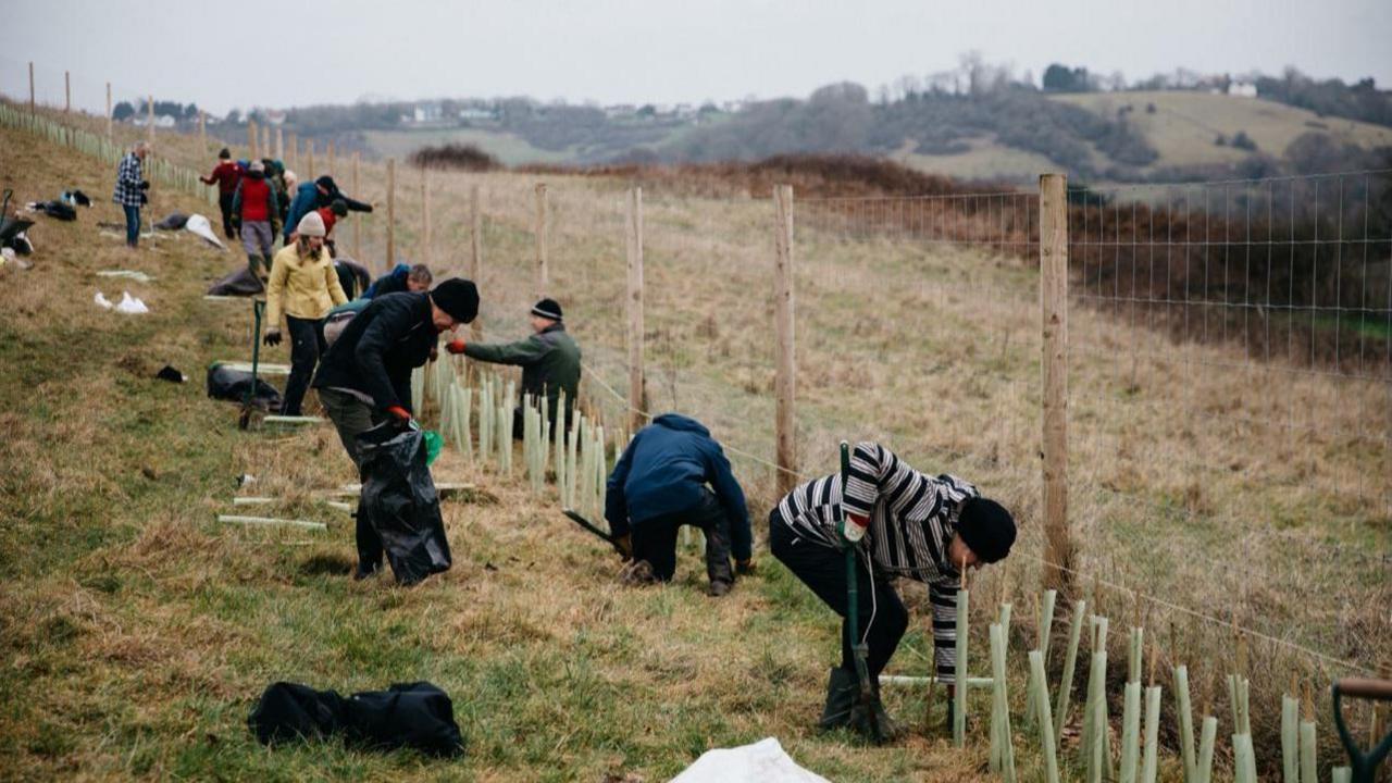 A group of volunteers planting trees and digging holes up against a fence on a sloping hill. It is a grey and misty day and in the distance you can see rolling hills and mature woodlands.