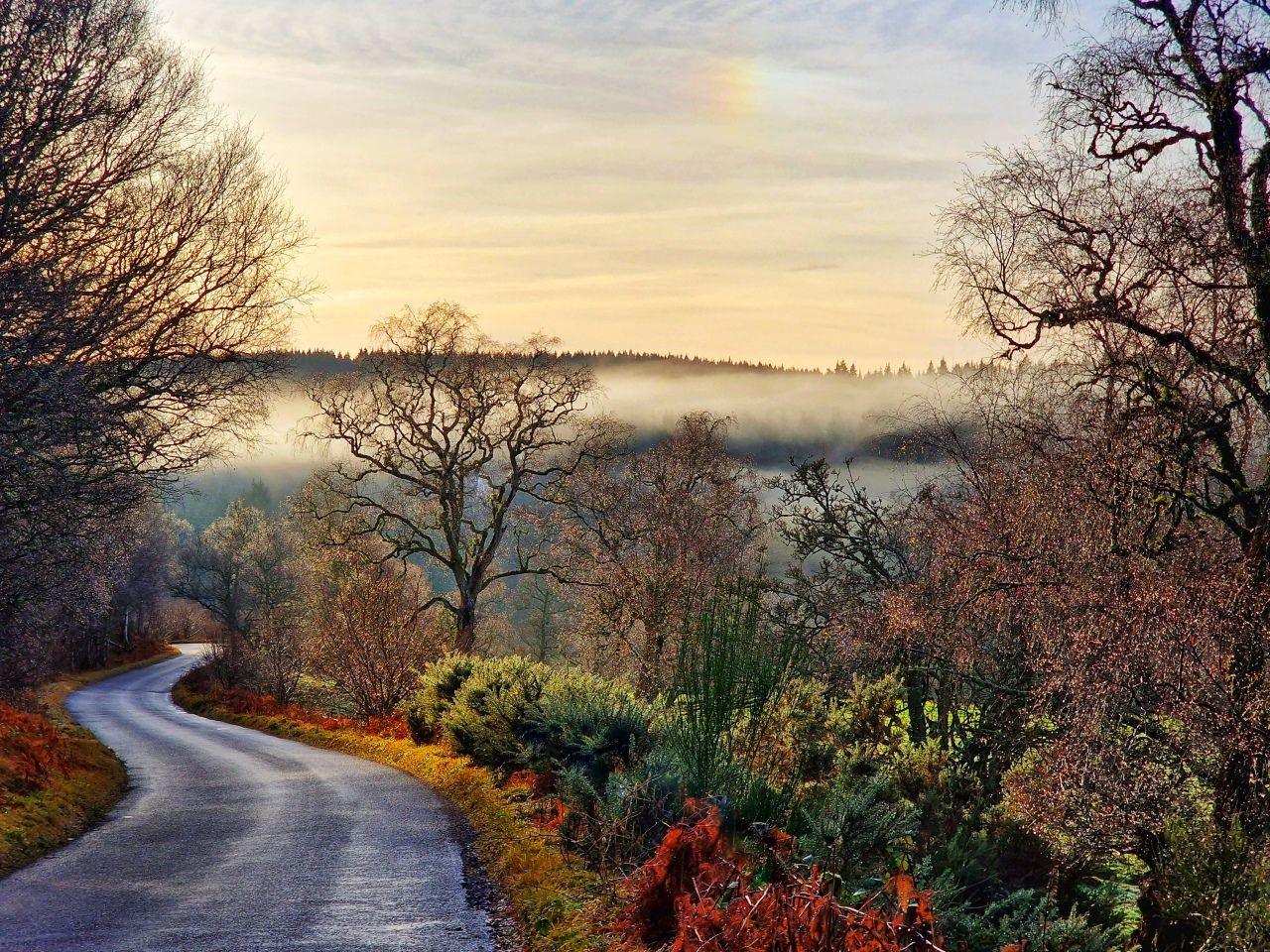 A country road winding off to the left with a brightly coloured forest to the right