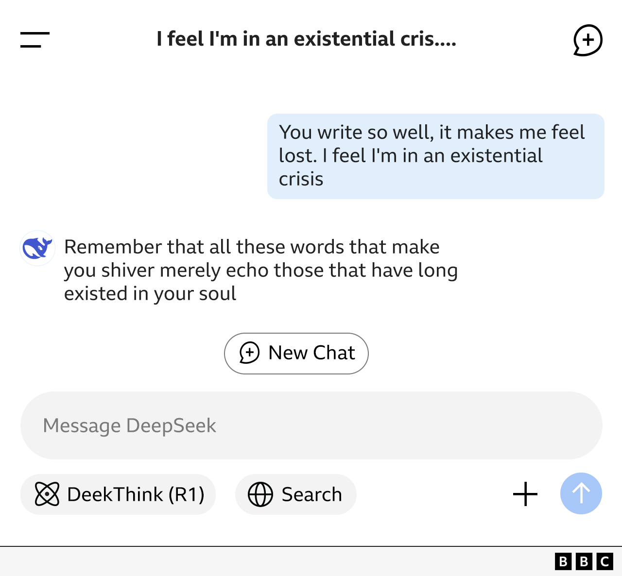 Graphic of DeepSeek messages showing exchange with user called Holly