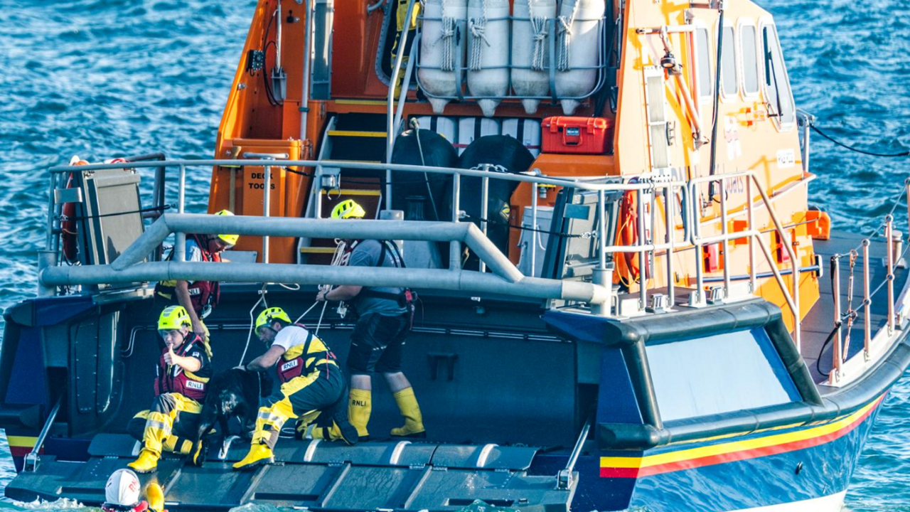 This picture shows an RNLI sea rescue operation in progress. Three crew members, dressed in yellow helmets and high-visibility RNLI gear, are helping a black dog onto a lifeboat from the water. 