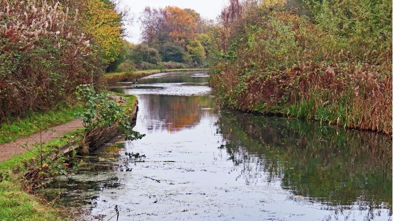 A path sits on the left hand side of a canal with autumnal trees in the background. Ducks are swimming in the distance.