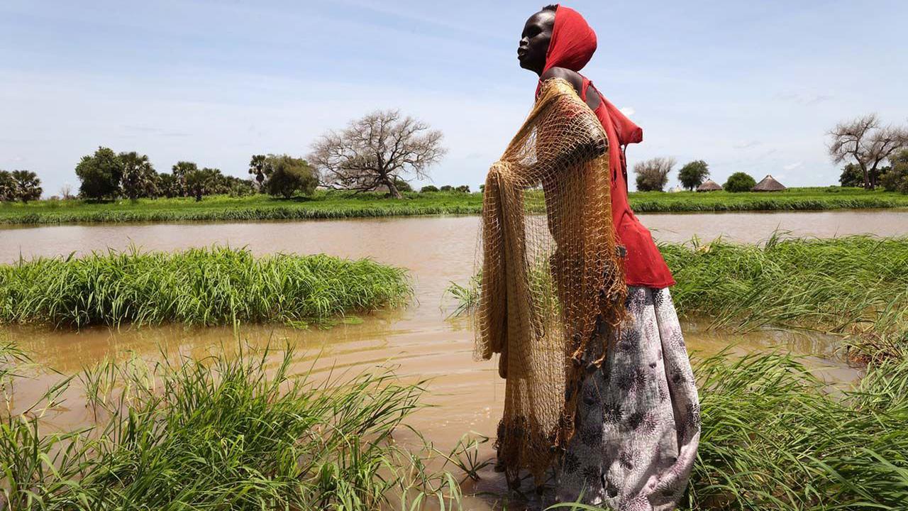 A woman looking over wetlands