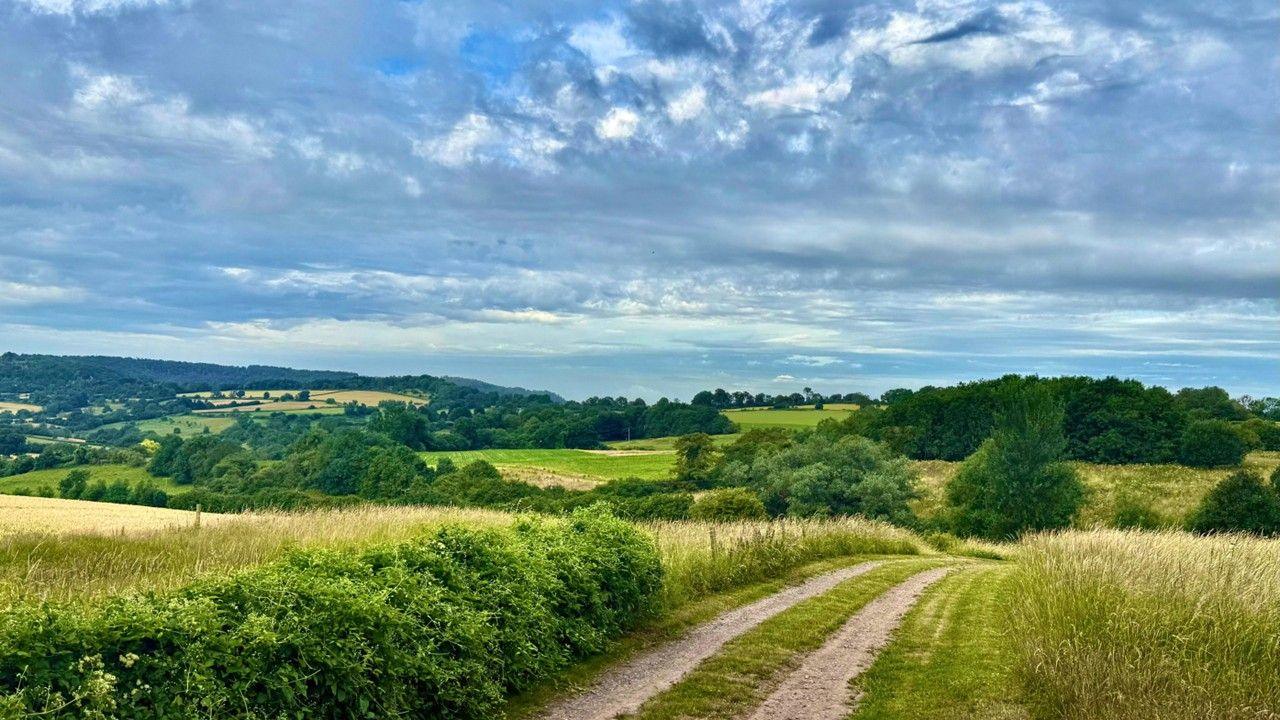 A path divides two fields with more fields and trees in the background. The sky overhead is blue and filled with grey and white clouds