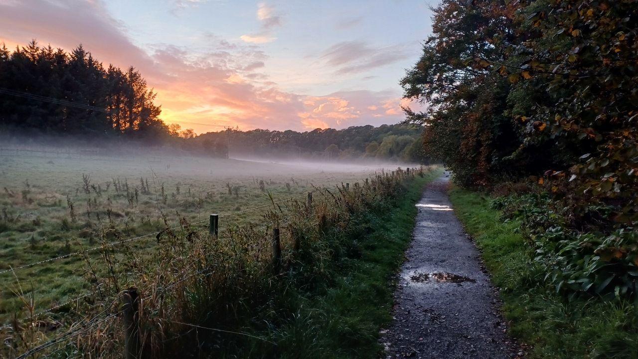 A path beside a field covered in mist. There is an orange sunrise and tress all around.