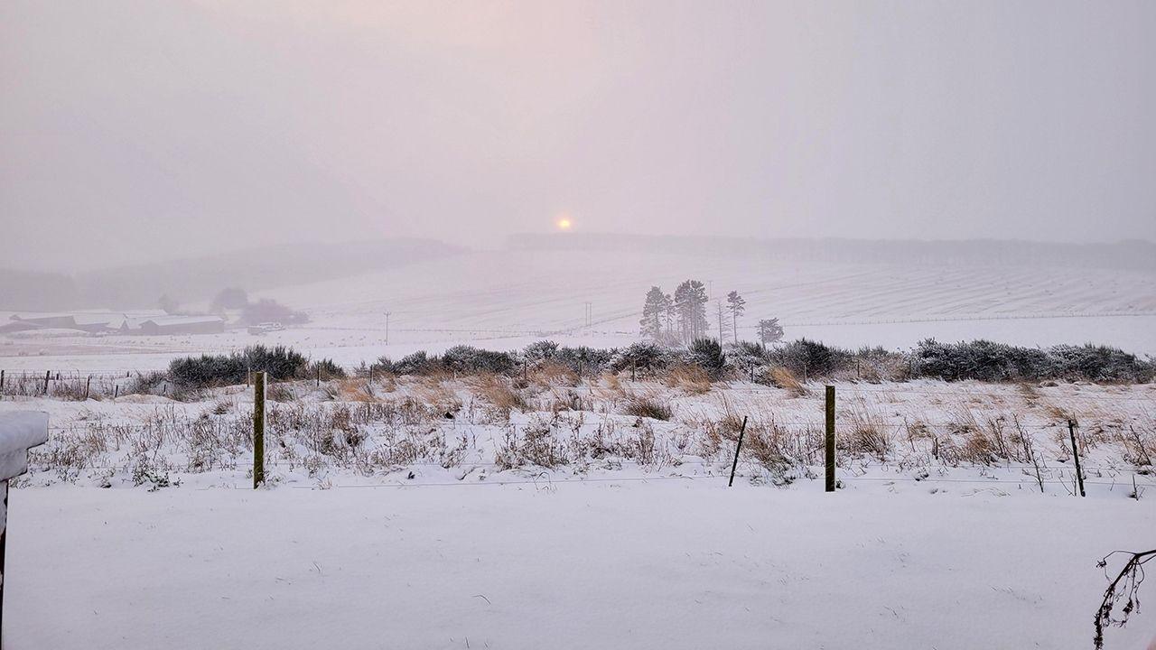 A field covered in snow at dawn in Aberdeenshire