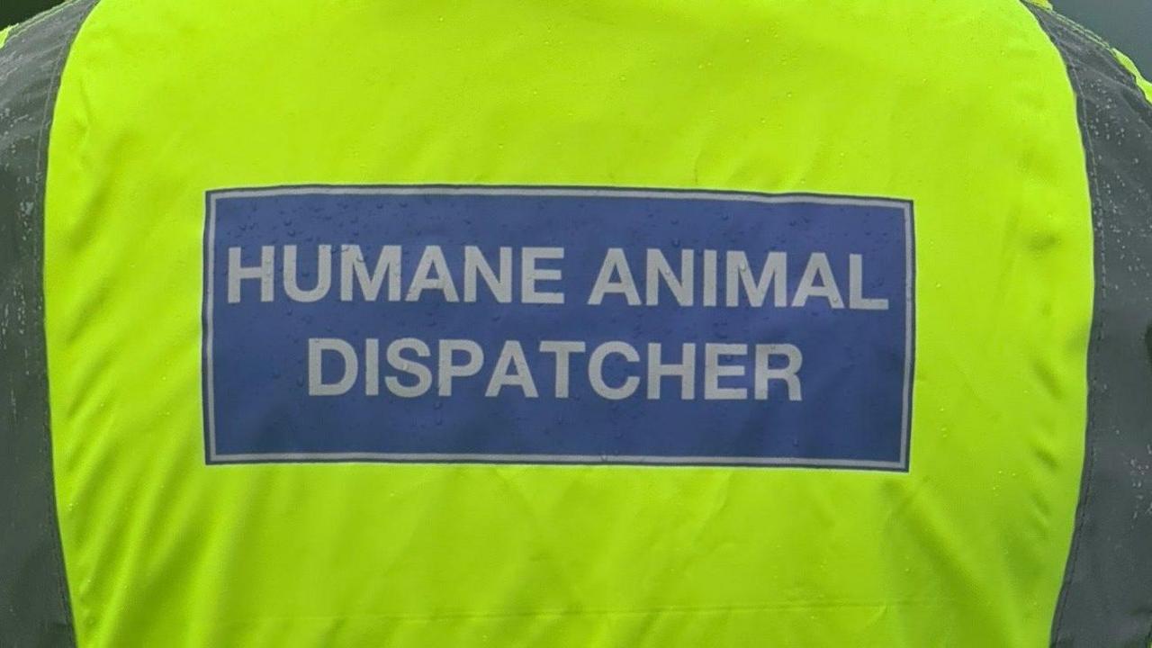 A Humane Animal Dispatcher's hi-vis jacket, that says "Humane Animal Dispatcher" in white letters on a blue background 