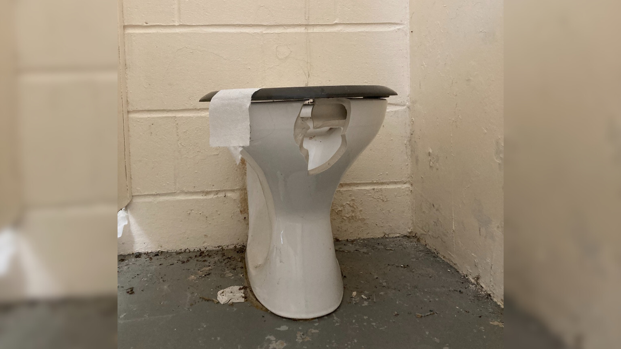 A toilet at Victory Park appears to have a smashed bowl toward the front underneath the closed lid. A piece of toilet paper dangles from the lid to the left-hand side.
