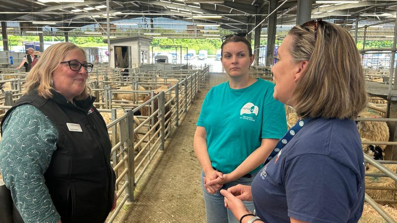 Three women standing in a cattle shed surrounded by sheep talking