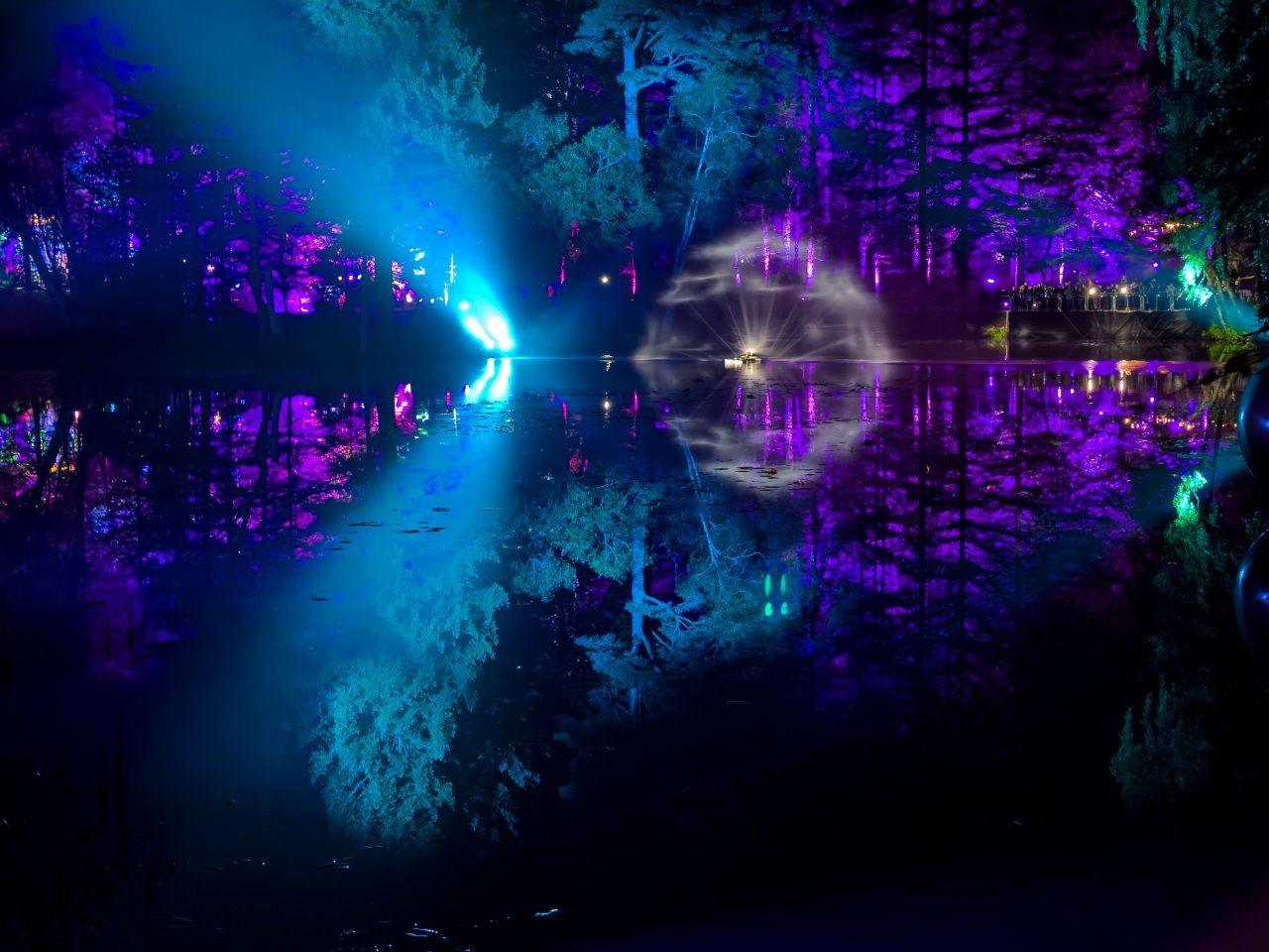 Blue and purple lights projected onto trees in a forest