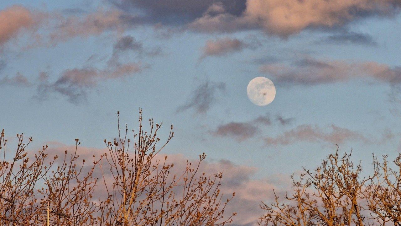 A bright white full Moon in the right of the picture with pink coloured clouds against a blue sky and pink tinged shrub tops in the foreground