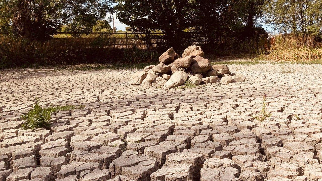 Cracked dry earth with trees and a fence in the background