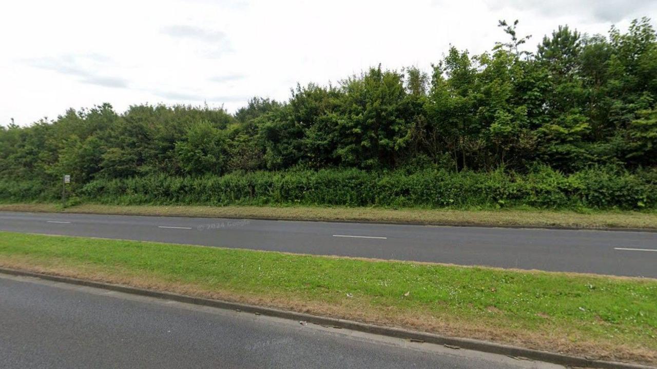 A stretch of road with hedges on the side