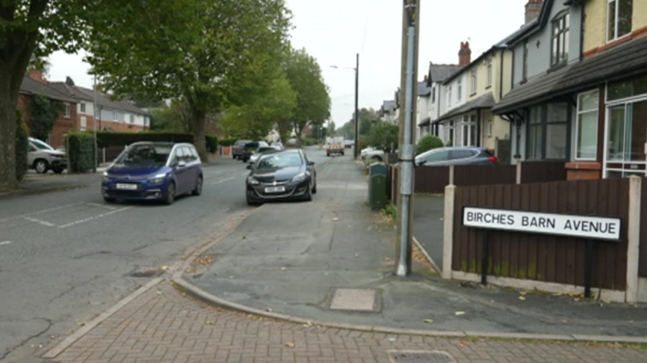 A residential street with houses on either side and a number of large trees 