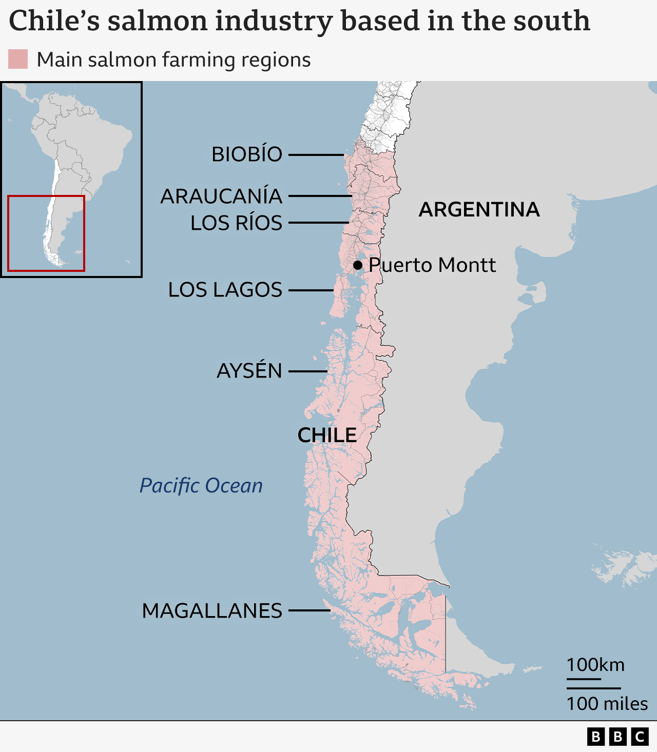 Chile's salmon industry is based in the south of the country