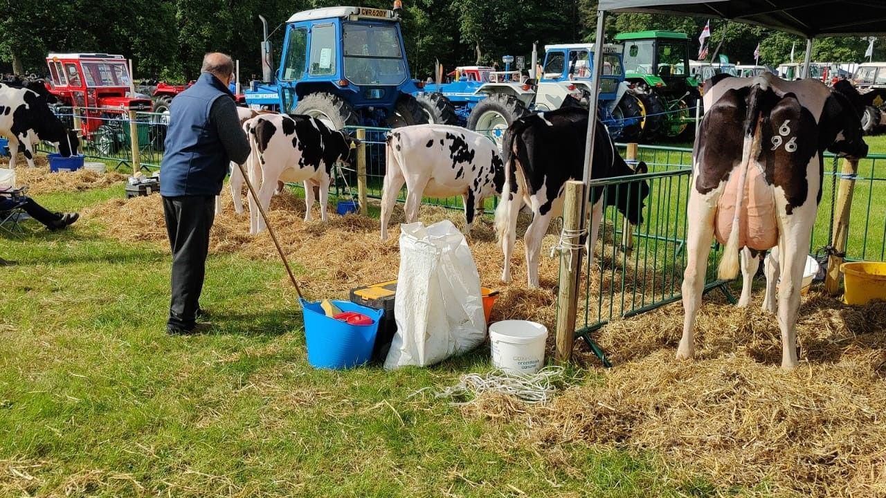 A man with lots of fresian cows and tractors in the background 