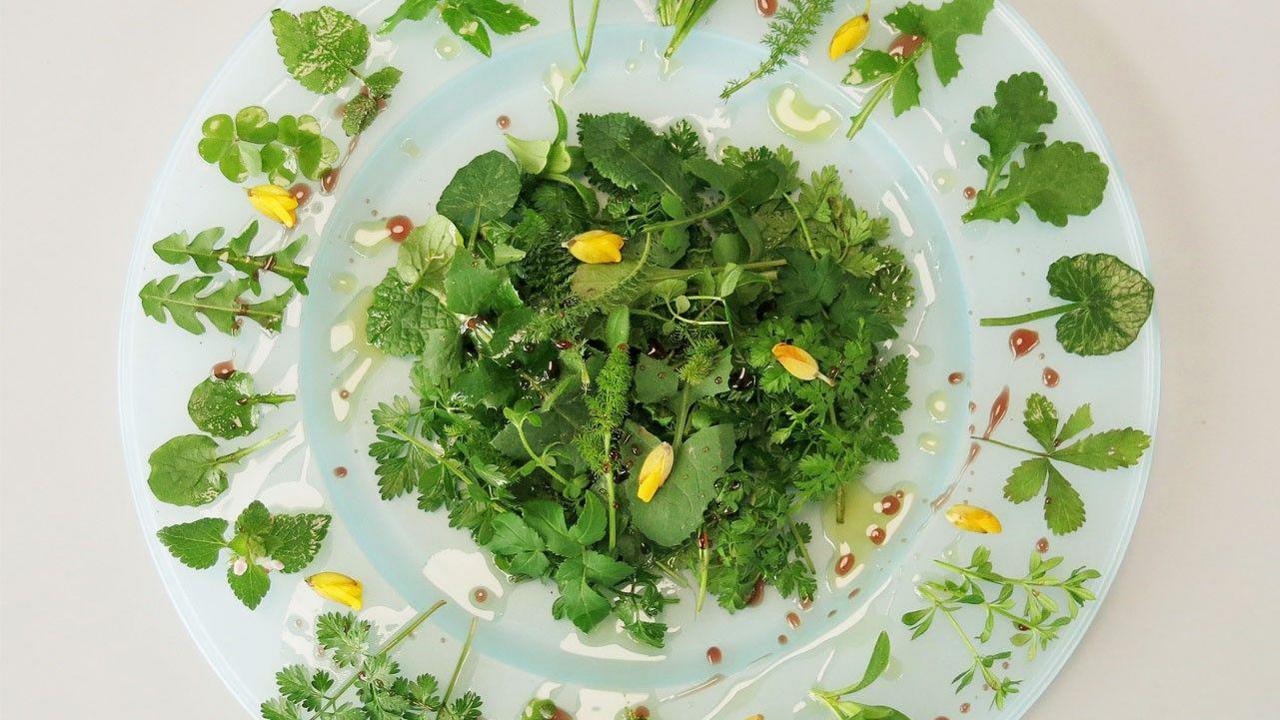 A white bowl of green plants that have been foraged and placed on a dish in a circle formation.