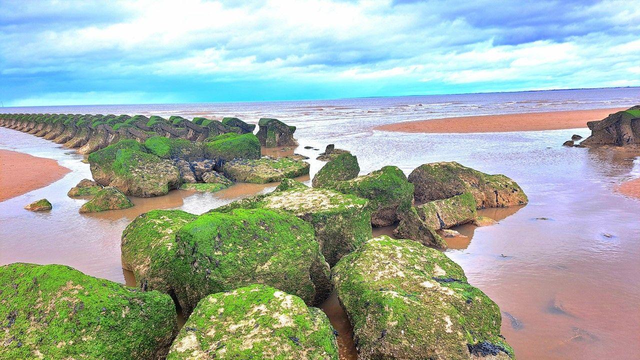 Moss covered rocks lead out into an inlet of the sea with blue sky and white clouds behind