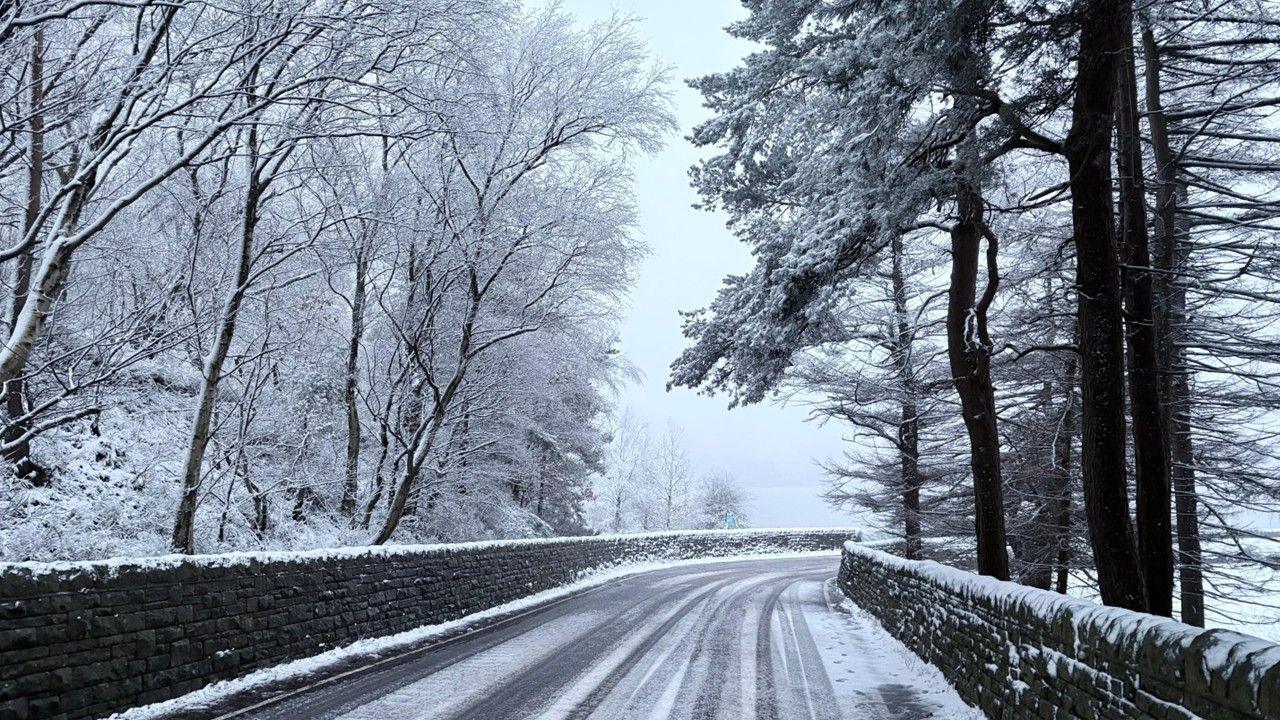 Trees covered with snow on either side of a snowy road creating a very black and white image