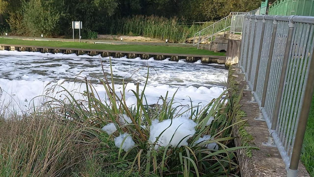 Another view of the Little Ouse river in Brandon, Suffolk. The water surface has almost been entirely covered with a white foam-like substance. Some of the substance can be seen on the nearby river edge. A bridge can be seen over the river.