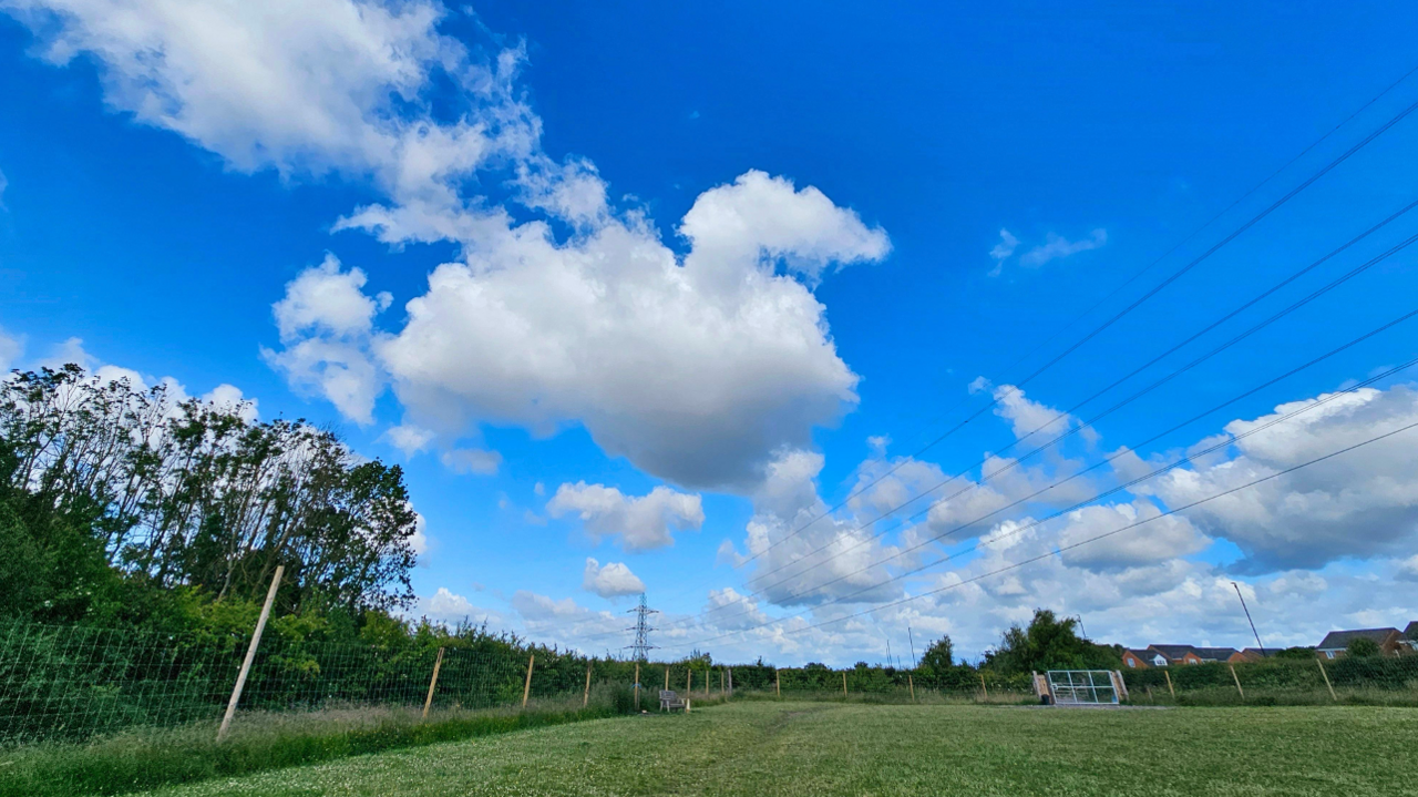 Green grass of a field and powerlines with a blue sky and a few white cumulus clouds.