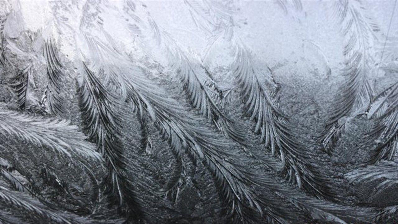 Pretty leaf frost patterns on a car windscreen