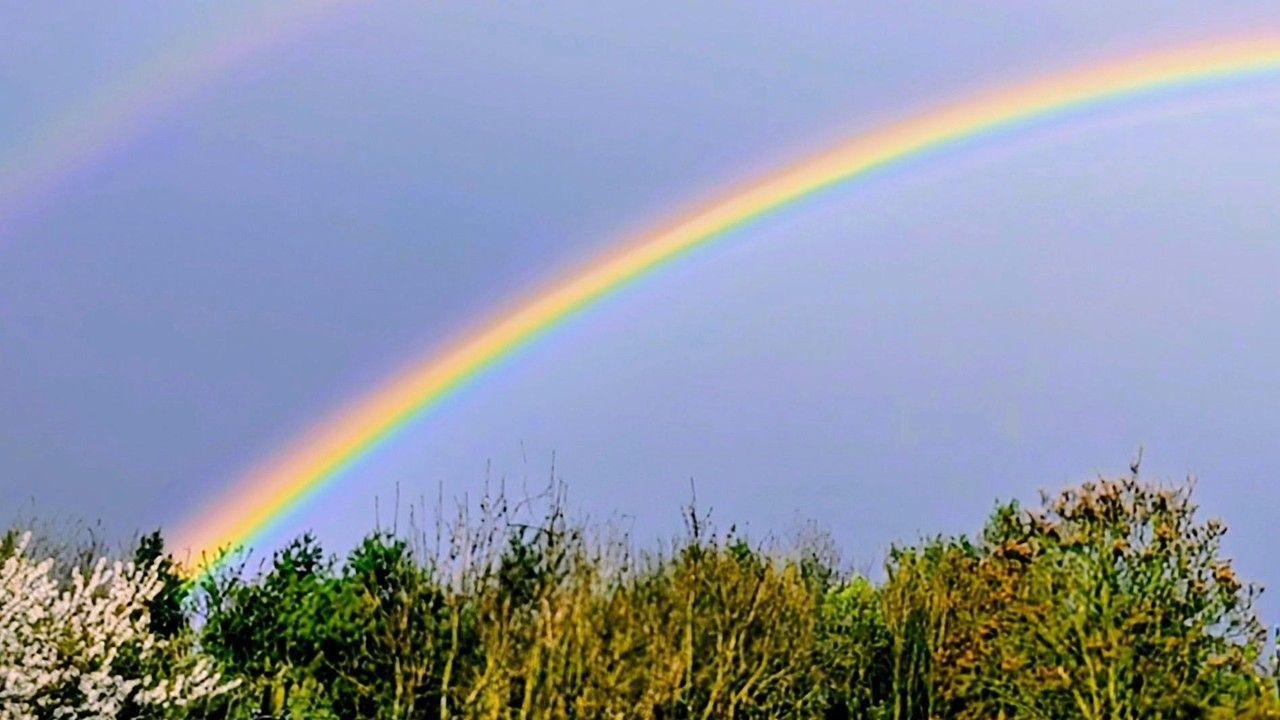 A brightly coloured rainbow arcs from the left of the picture to the top of the right side, against a grey-blue sky with trees underneath