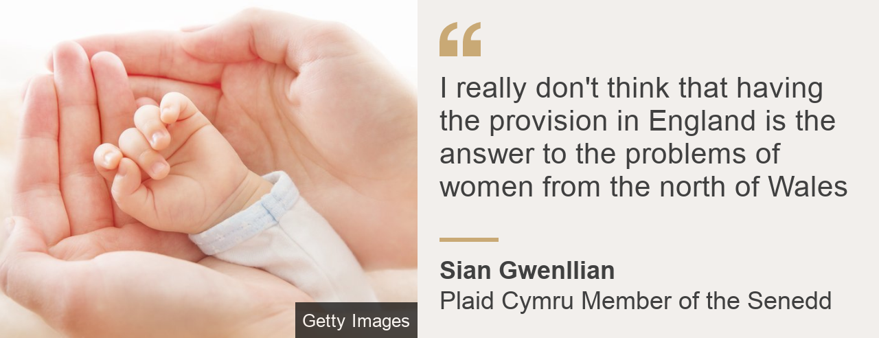 Quote box: Sian Gwenllian: "I don't think two beds is enough and I really don't think that having the provision in England is the answer to the problems of women from the north of Wales"