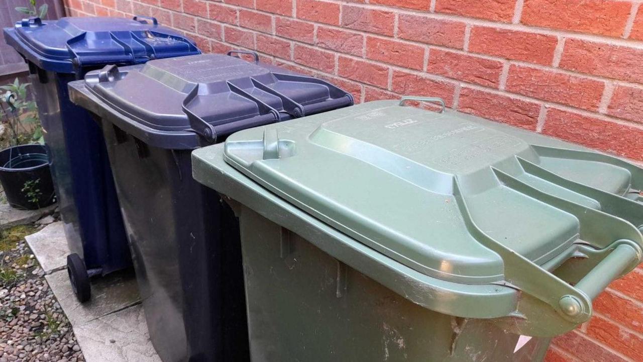 Blue, black and green wheelie bins.