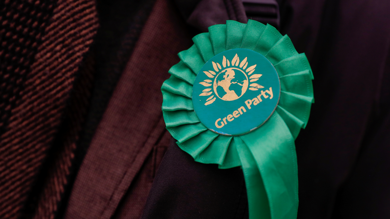 Green Party rosette