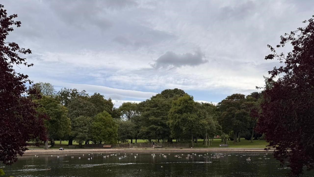 A tranquil scene with birds flying over a lake and trees in the background. 