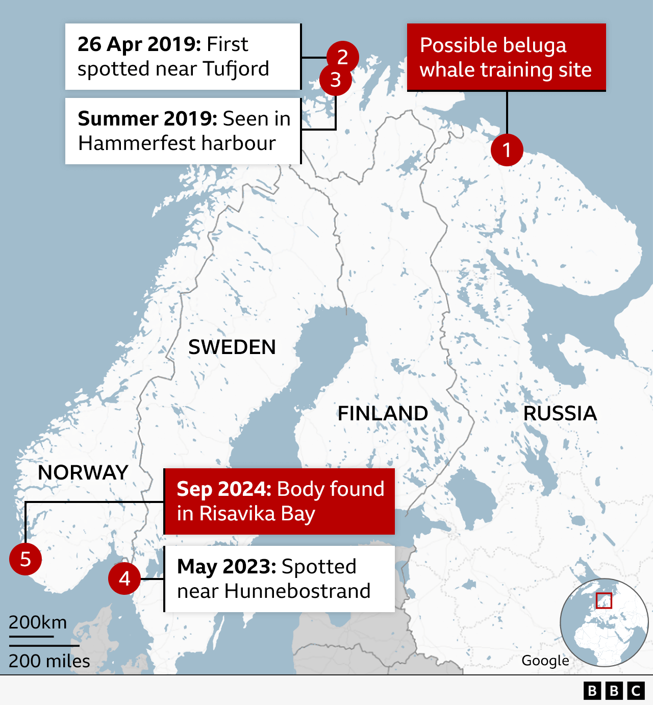 Map showing the route thought to have been taken by the beluga whale, from the Russian Arctic to southern Scandinavia