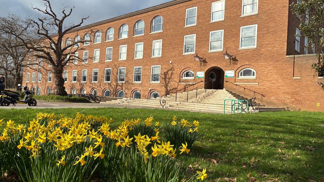 Daffodils in the foreground and the entrance to County Hall with steps leading upwards and trees on the left.