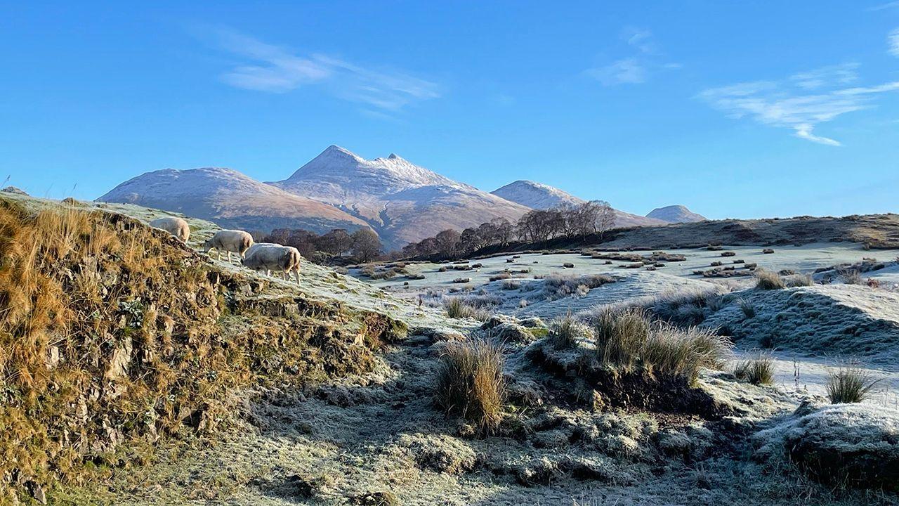 Snow covers hills and a field with farm animals in