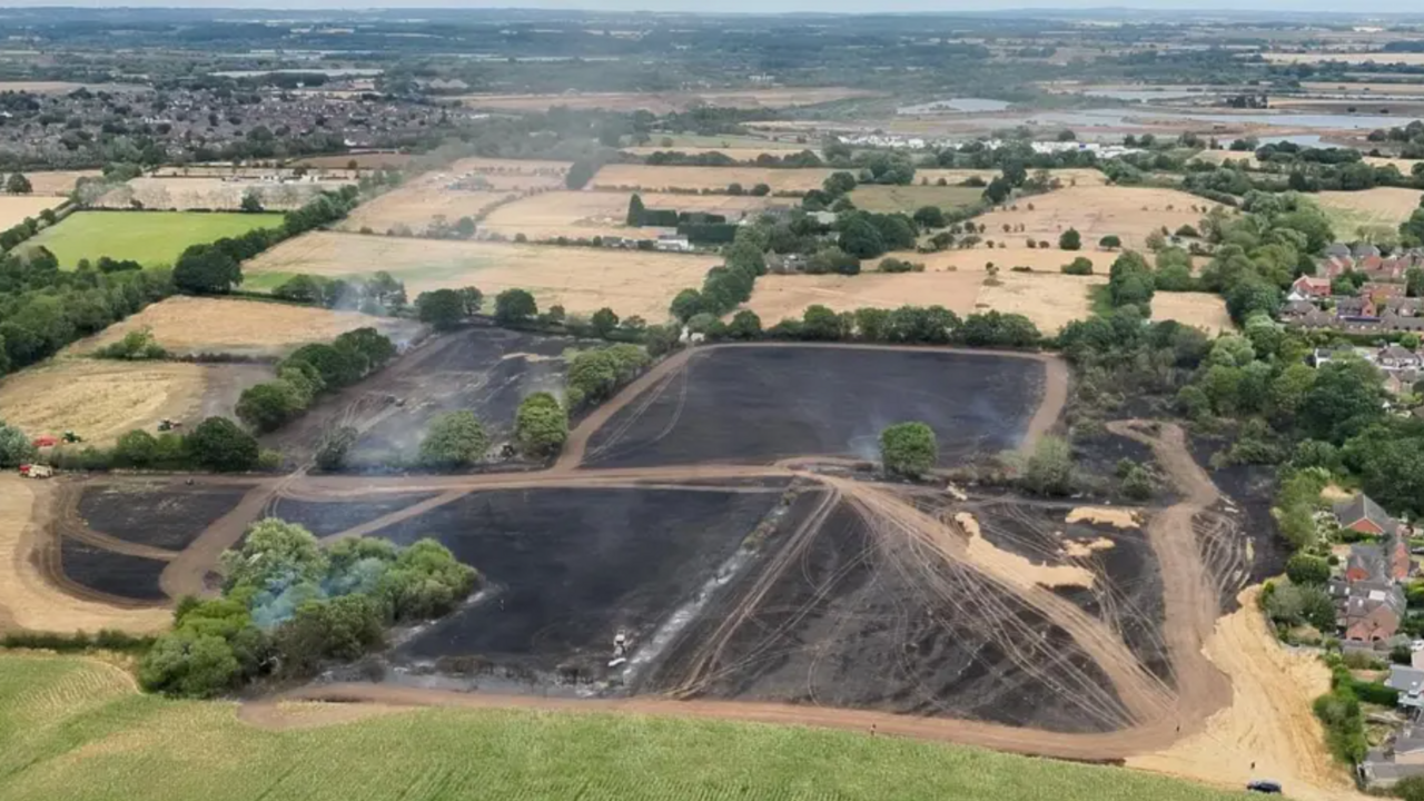 How can landscape recover after devastating fires? — image supplied by BBC Science's feed