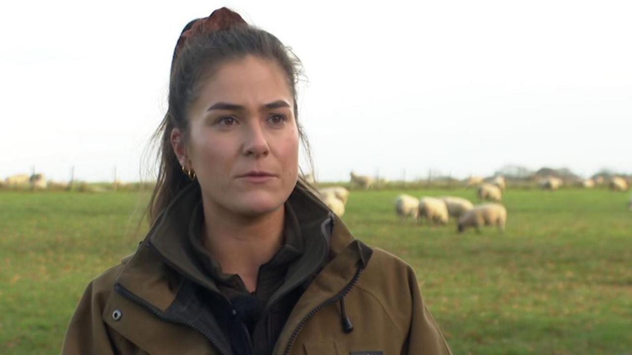 Ms Wilson stands in front of a field of grazing sheep, wearing a brown coat and her brown hair tied up.