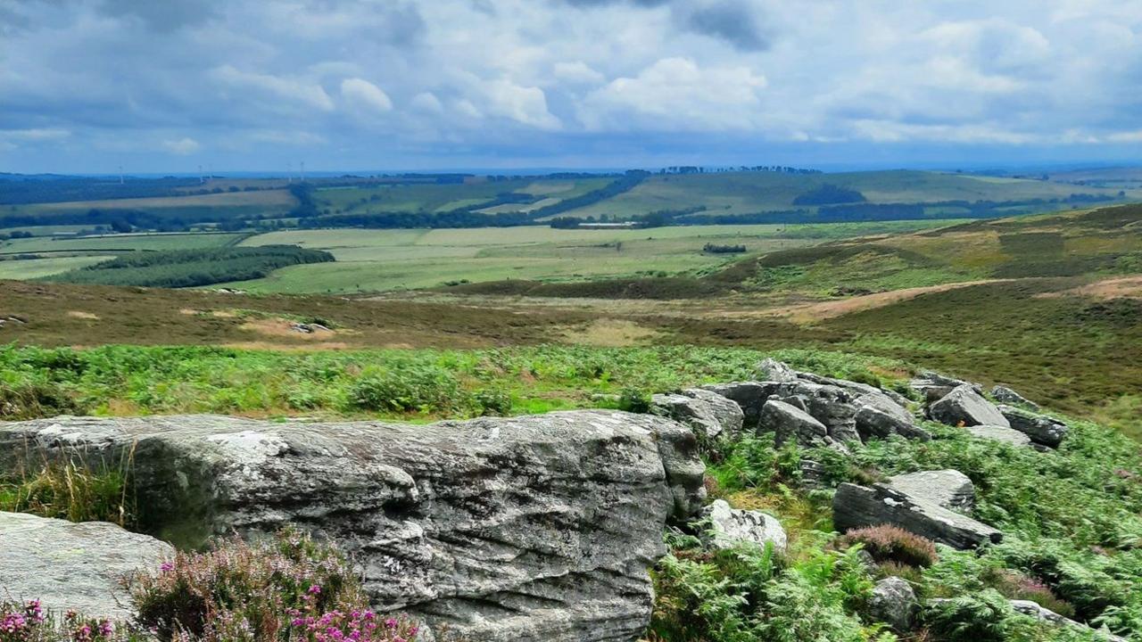 A picture showing the dramatic landscape of the Simonside Hills on the Rothbury Estate. In what appears to be a picture postcard of patchwork countryside, there are rocks at the front of the image with shrubbery. The sky is cloudy.