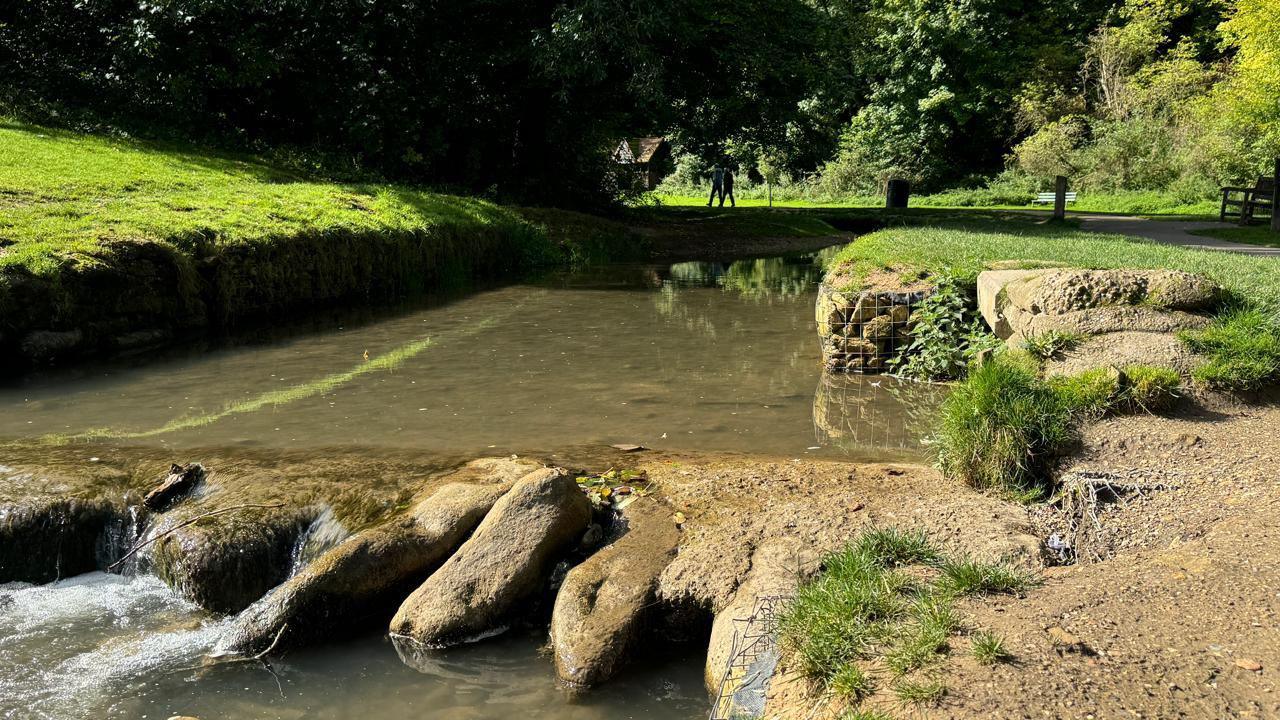 A river running through parkland