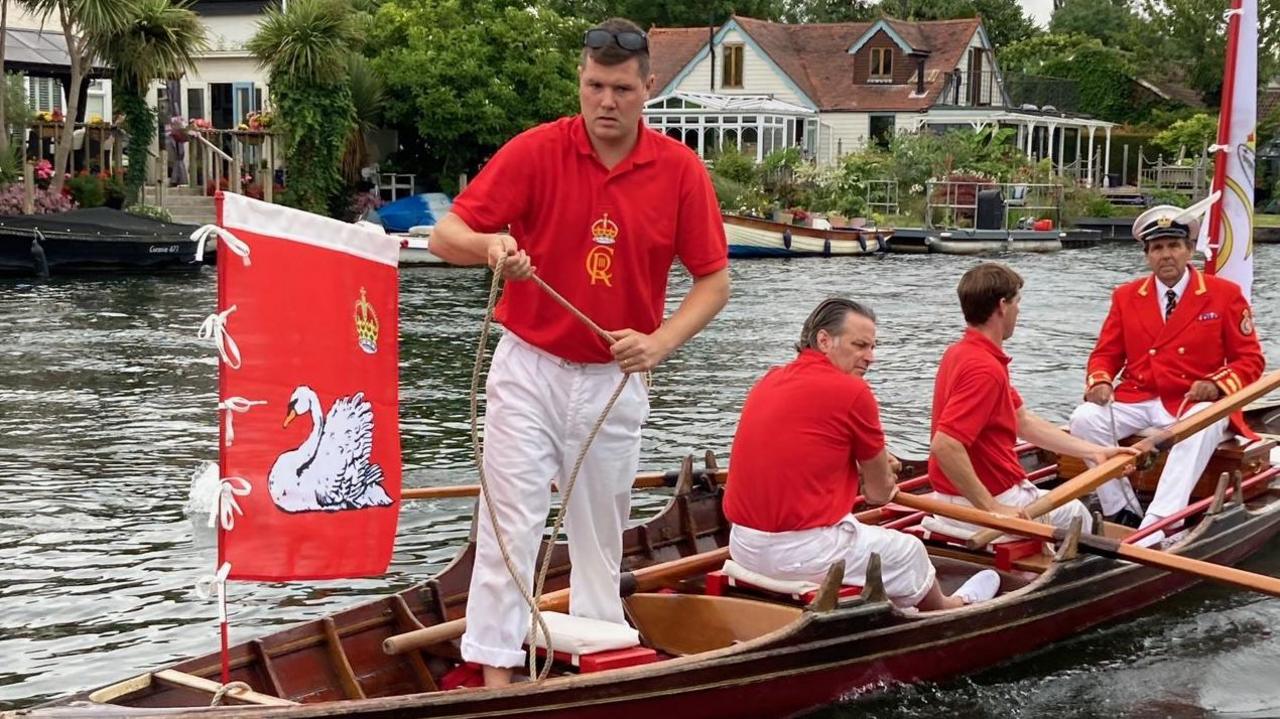 Swan upping on the Thames