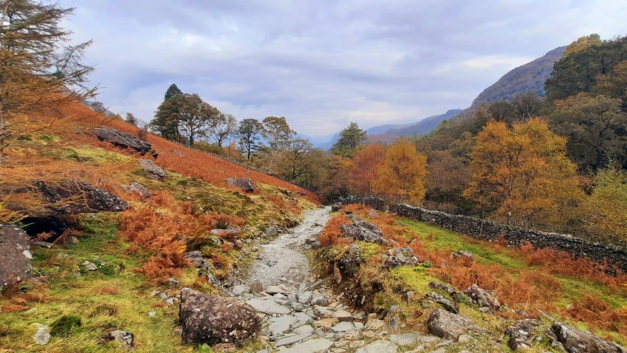 A stone pathway is bordered by plants that have turned orange. Trees in the distance are browning. Beyond them, imposing mountains rise from the landscape.
