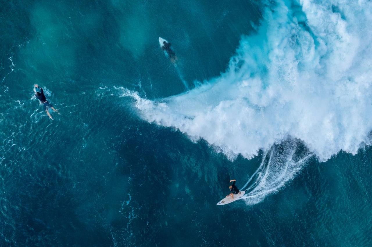 Surfing and swimming in the sea