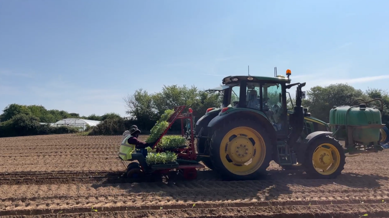 Farming tractor on Jersey field with people working on the back