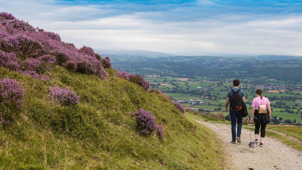 Llun o ddau berson yn cerdded ar hyd llwybr ym mynyddoedd Bryniau Clwyd. Mae'r fenyw i'r dde yn gwisgo crys-t pinc a throwsus du. Mae'r dyn i'r chwith ohoni yn gwisgo crys-t gwyrdd a jîns glas. Mae ganddyn nhw gi yn cerdded ar eu hôl nhw. 