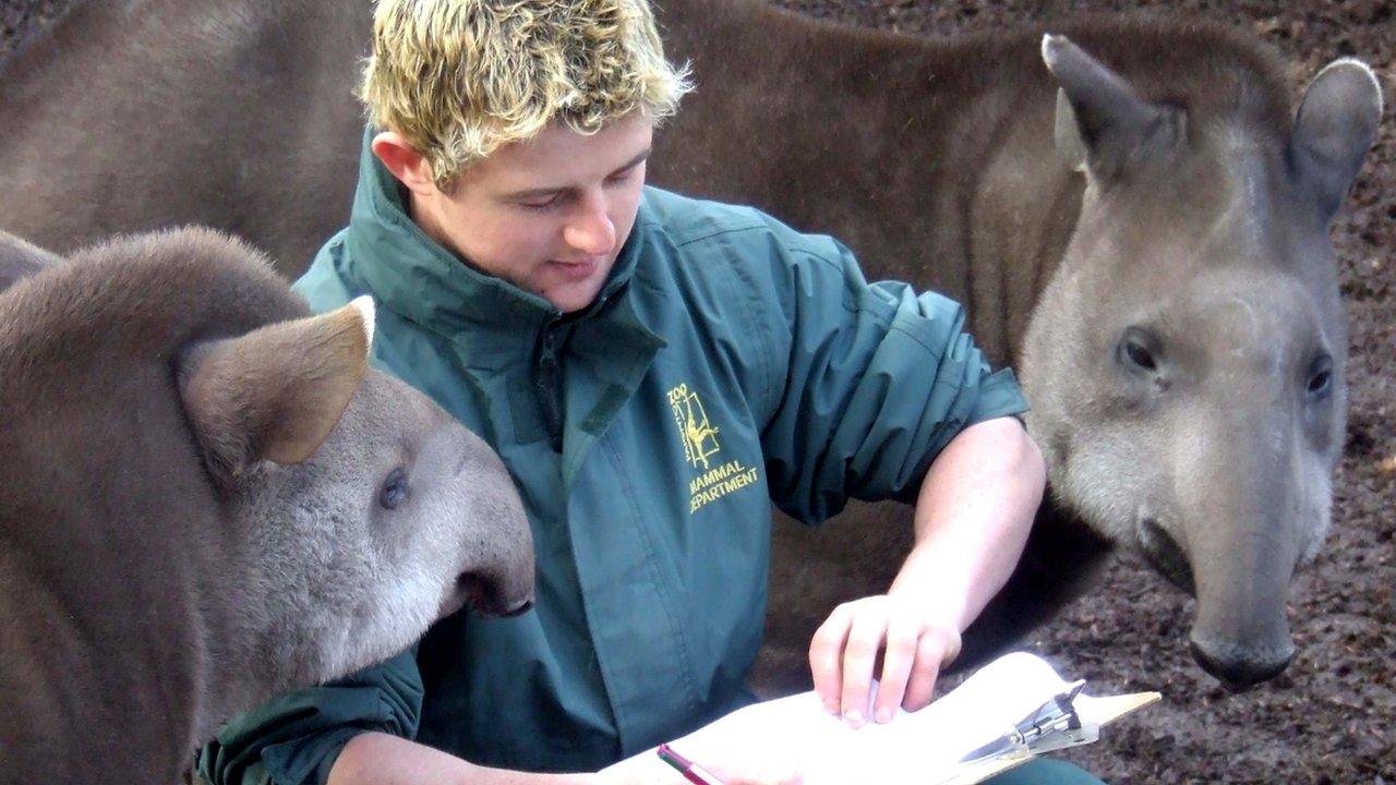 Paignton Zoo animal head count, January 2013