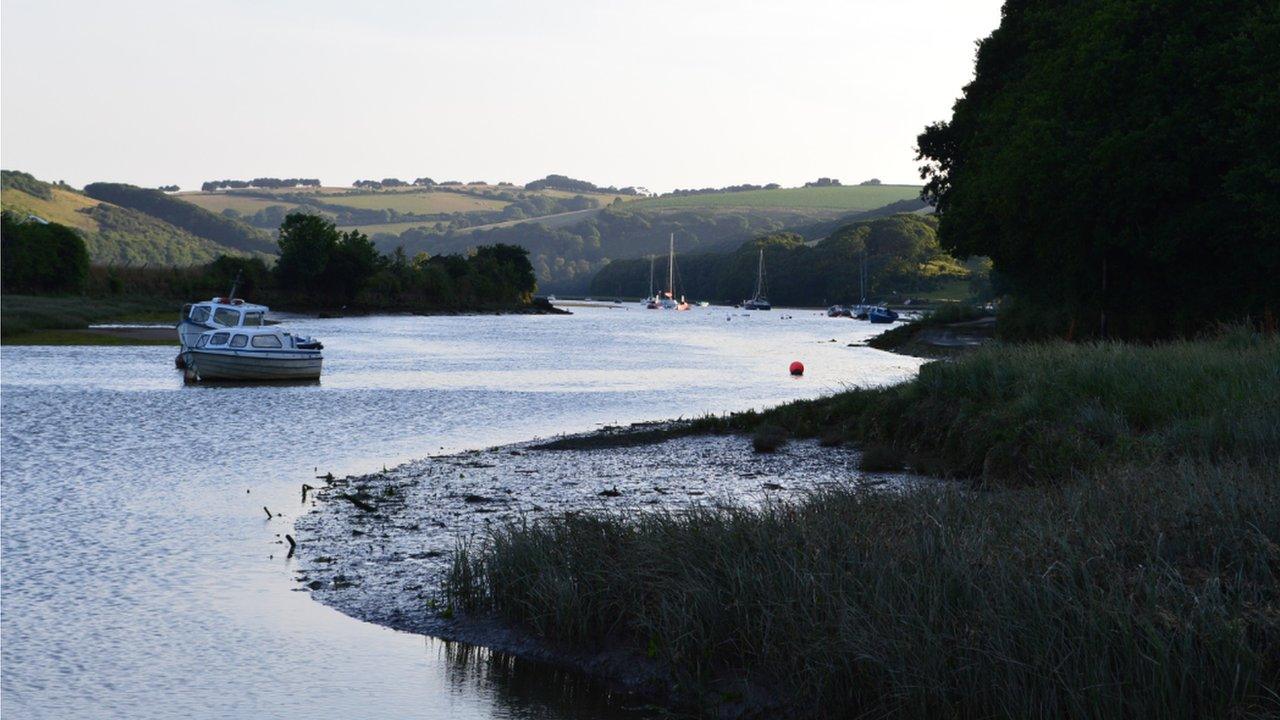 Avon near Aveton Gifford