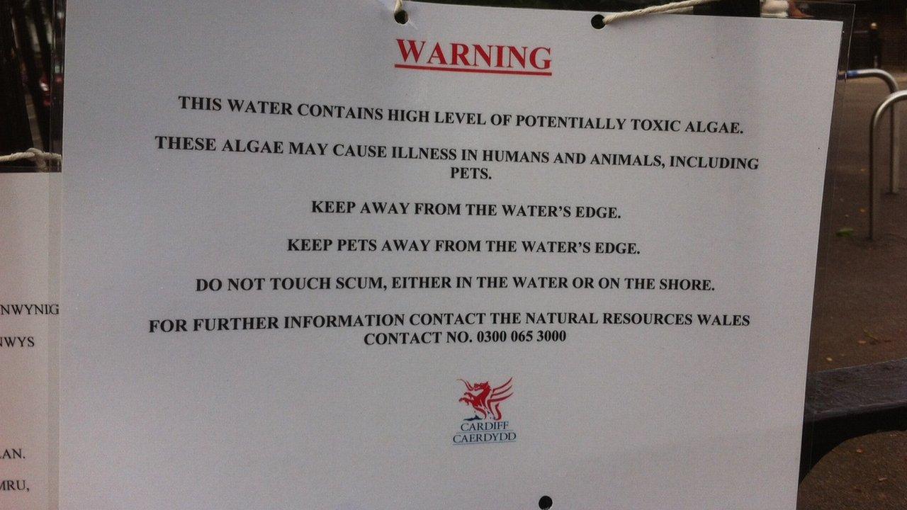 Cardiff council warning at Roath Park lake