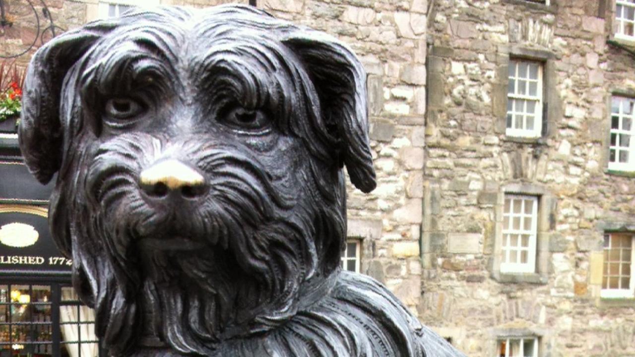 Greyfriar's Bobby's shiny nose