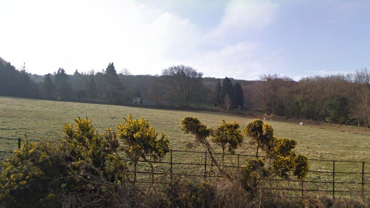 Bracken Tor