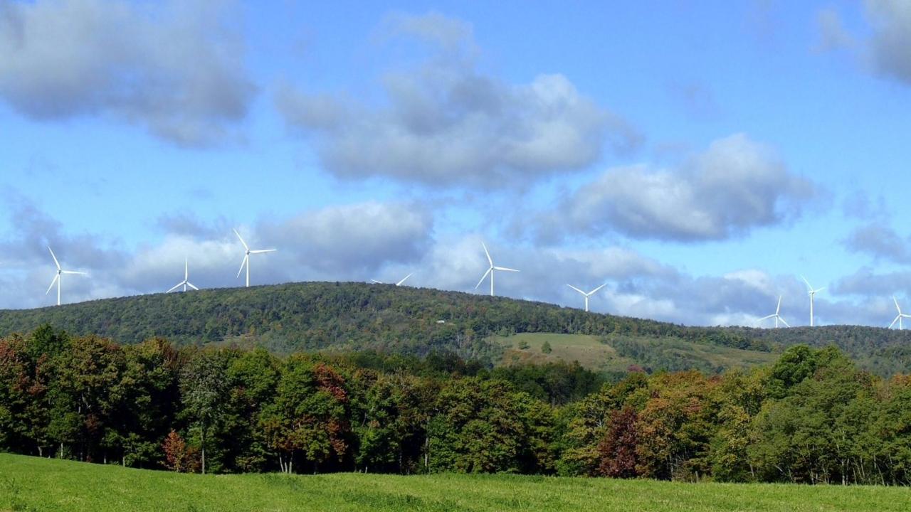 wind farm